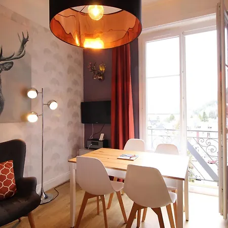 Apartment F2 Avec Ascenseur Et Wi-fi Au Centre Du Mont-dore - Fr-1-415-44