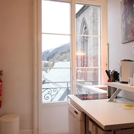 Apartment F2 Avec Ascenseur Et Wi-fi Au Centre Du Mont-dore - Fr-1-415-44 *